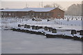 SK3029 : Mercia Marina on the Trent & Mersey Canal in the snow by David Grice