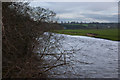NY4756 : The River Eden by Ian Greig