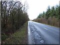 A6071 through Blackbank Wood