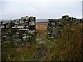 This way down to Hill Top Farm