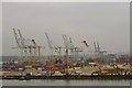 SU3911 : Container Port Cranes, Southampton Docks - 2 by Terry Robinson