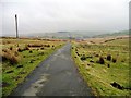 The Millennium Way at the 304 metre spot height