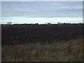 Farmland off the A1077