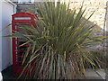 Mousehole: a red phone box