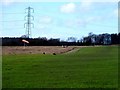 Wind sock and grass runway at airfield