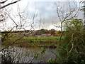 View across the river