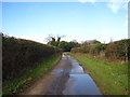 Farm Track near Bond Hall Farm