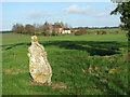 View towards Church Farm, Ilketshall St Lawrence