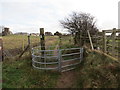 Gât fochyn Mawdlan /Madwlam kissing gate