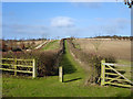 Footpath to Monkton Lane