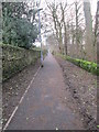 Footpath - from The Dell