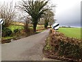 The back road out of Cleobury