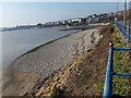 Shingle at the edge of Barry Harbour