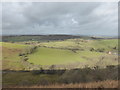 View over Gaer Farm from Y Golfa