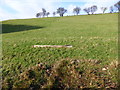 Glyndwr Way waymarker post down in the field