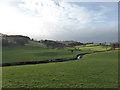 Fields beside Glyndwr