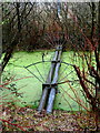 Twin pipes across a drainage channel, Baglan