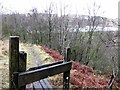 Path through Hill Top Wood