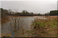 Flood in field at Owslebury Bottom