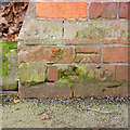 Bench mark, Lenton Primary School