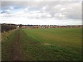 Footpath on the edge of Belford