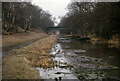 Nottingham Canal from Moor Lane Bridge