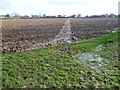 The Saxon Shore Way crossing a field to Stone-in-Oxney