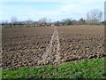 The Saxon Shore Way crossing a field near Stone-in-Oxney