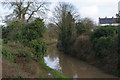 Ashby Canal from Bulkington Lane Bridge