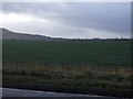 Farmland off the A174