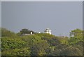 Tower in the Trees, Norton, Isle of Wight