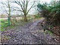 Bend on footpath west of East Clandon