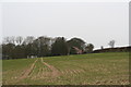 Manor Warren Farm across the fields