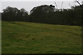 Earthworks in a field at Welton le Wold