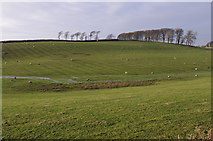SD4864 : Undulating land south of Slyne by Ian Taylor