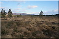 Looking East from the track to Moormore