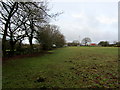 Paddock above Loadpit Beck