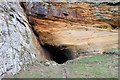 NJ1670 : Cave at Clashach Cove by Alan Hodgson
