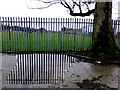 Railings and reflections, Omagh