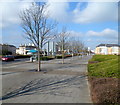 Wide pavement alongside Lloyd George Avenue, Cardiff Bay