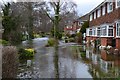 Flooding in Romsey