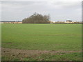 View towards Somerby Hall Farm