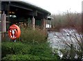 Pond at Stafford South Service Area