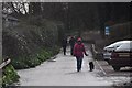 Dawlish Warren : Path to Dawlish