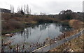 Harts Barn pond, Longhope