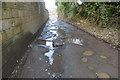 Potholed lane, Whiteabbey