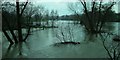 Clun River severe flooding