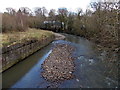 Shingle in the Afon Cynon, Aberdare