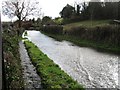 Floods, Finchdean