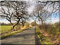 SD5314 : Heskin Green, Chisnall Lane by David Dixon
